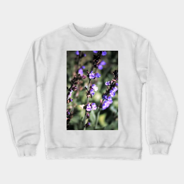 Flower of sage Crewneck Sweatshirt by Gourmetkater